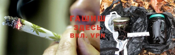 индика Няндома