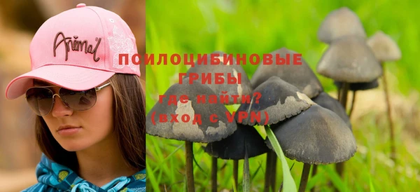 СК Белая Холуница