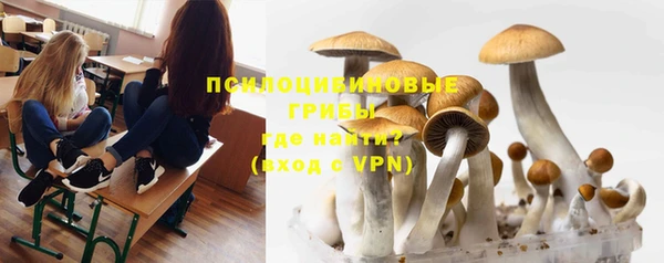 индика Няндома
