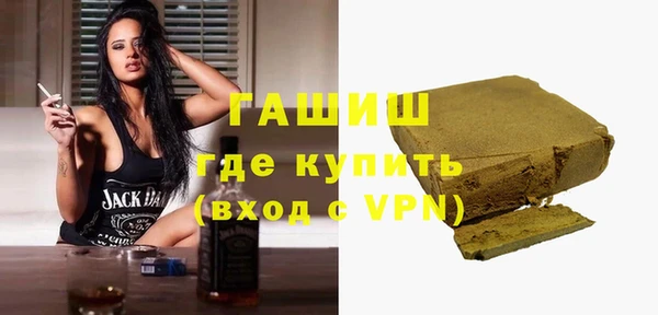 индика Няндома