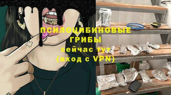 индика Няндома