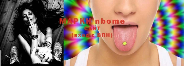 прущие грибы Осташков