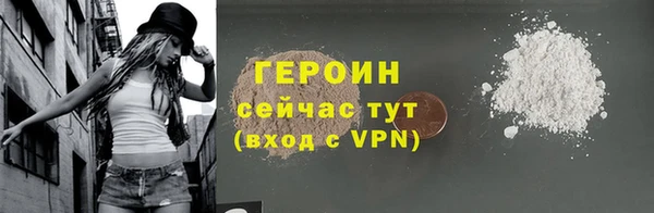 индика Няндома