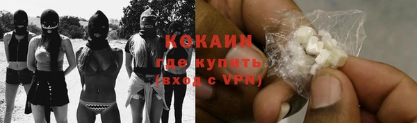 прущие грибы Осташков