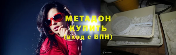 индика Няндома
