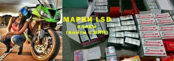 прущие грибы Осташков