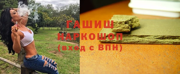 индика Няндома