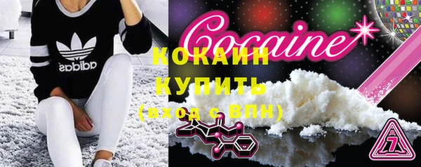 индика Няндома
