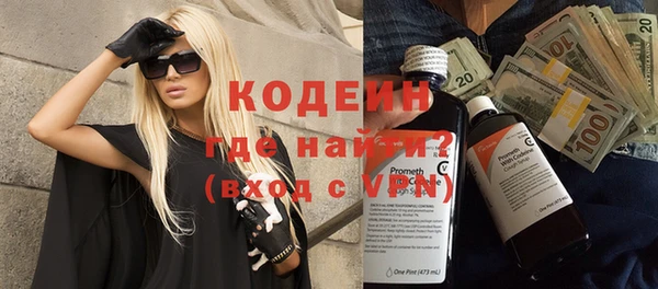 индика Няндома