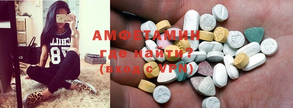 индика Няндома