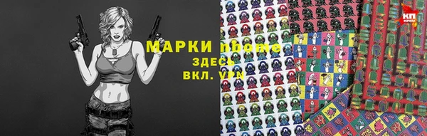 индика Няндома