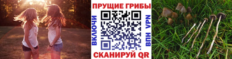 Галлюциногенные грибы ЛСД  Ирбит 