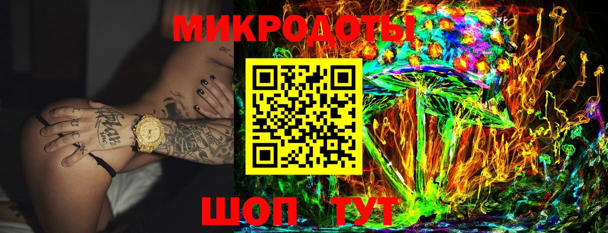Галлюциногенные грибы Psilocybe Ирбит