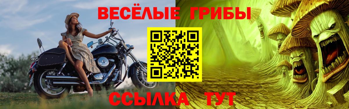 Галлюциногенные грибы Psilocybine cubensis  Вход с VPN  Галлюциногенные грибы Cubensis  Ирбит 